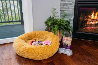 The Emerald Nest 3BR Townhome Near Downtown Beach and Wineries - 7