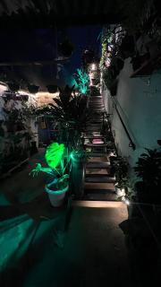 Casa Botânica Natureza & Tecnologia - 2