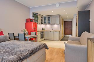 Stylish Central Tallinn Studio with Terrace and Parking - 4
