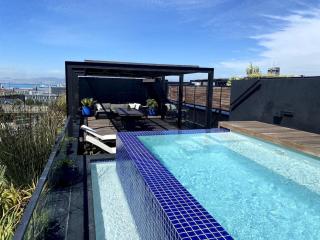Penthouse with Private Pool Cape Town - 4