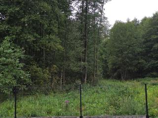 Natura Glamp Supraśl - 6