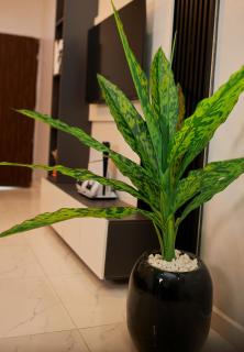 Jofat Residence - 3