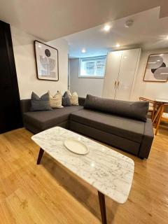 Chic Parkdale 1BR near Queen West - 8