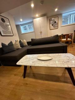Chic Parkdale 1BR near Queen West - 3