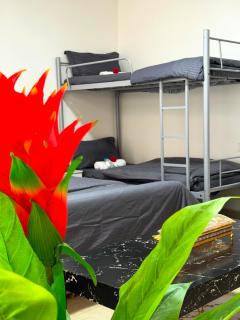 Boutique Urban Bunks - 4