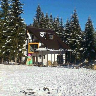 House Apartments Jahorinko - Jahorina - 6