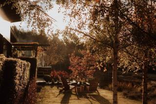 Secret Garden Forest Retreat | Off-Grid Luxe - 8