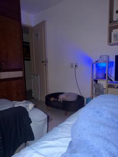 Quarto da lua - 2