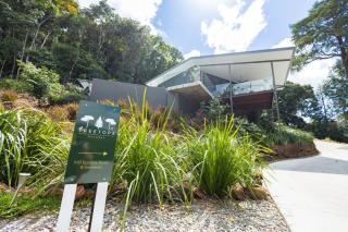 Treetops Retreat - 4