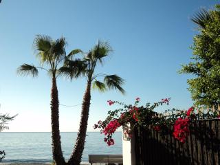 Casa Mariana - 9