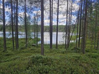 Peaceful 5BR Lakeside Cabin | Sauna & Fireplace - 5