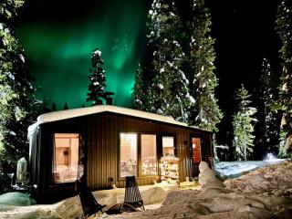 Fell Village XXL Superior Cabin - 2