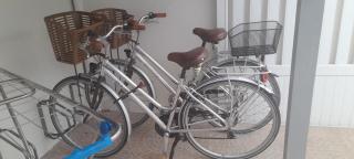 ILE DE RE, CHARMANT PIED A TERRE avec VELOS, WIFI, CUISINE, LINGE, PARKING gratuit - 8