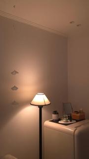 앤티크 답십리 Antique dapsimni - 1