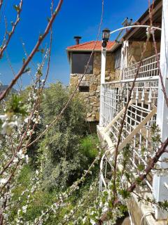 3BR Chalet Mountain Views Jahlieh Shouf - 7