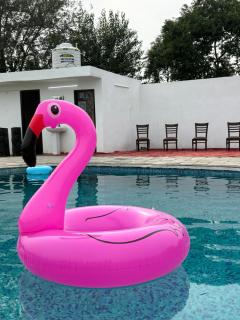 Luxury Resort near DELHI - 6