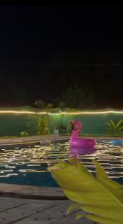 Luxury Resort near DELHI - 1