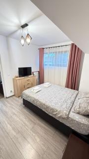 Easy Link Studio Aeroport Spital Neuro Sf Maria - 9