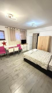 Easy Link Studio Aeroport Spital Neuro Sf Maria - 5