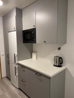 North Spirit Apartment, Rovaniemi - 3