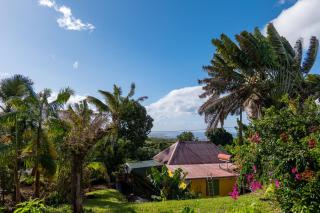 Le petit bungalow des cannes - 5