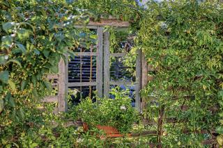 Abbraccio - Casa Vacanze - 2