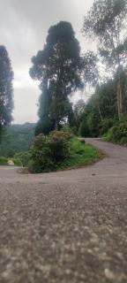 Cloud View Retreat - 4