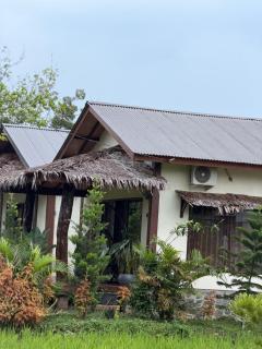 Shazzam place tour and jungle trekking - 4