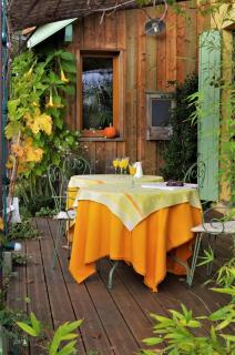 Maison Au Jardin - Biscarrosse - 6