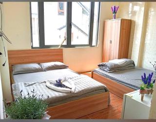 Lavender Home Đà Lạt - 0