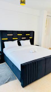 Befil Homes penthouse 3b - 8