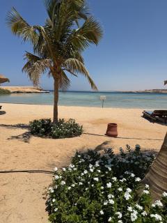 NEOS Club Mangrove Bay Resort - 0