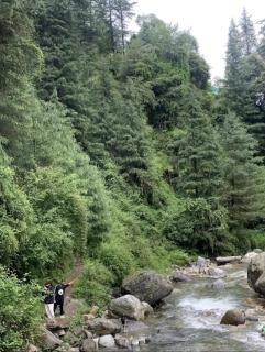 Apple Orchard Cottages and Riverside Homestays - 7