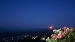 Guest House Maria - 1