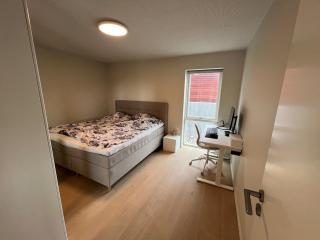 New Modern Faroese Home with Panoramic Views - 7