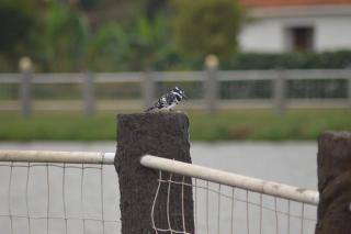 Forest Park Resort - Buloba - 7