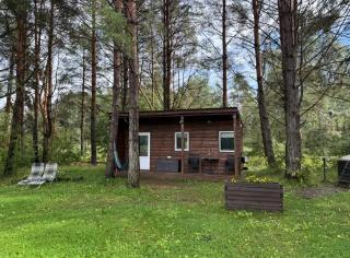 Forest cabin - 9