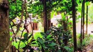 Thepu Villa - 4