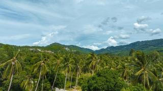 Luxury villa with swimming pool in the heart of the jungle - 7