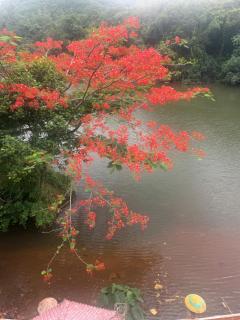 Creek Plaza - 4
