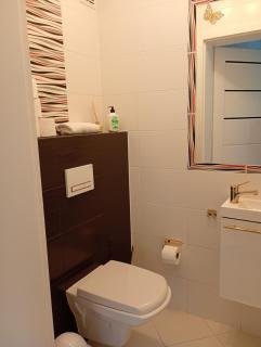 Apartament VIP V - 1