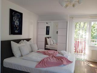Apartament VIP V - 2