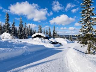 Hytta for 8 personer skiut/inn - Trysil - 9