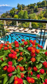 Cumaku Boutique Hotel & Spa - 5