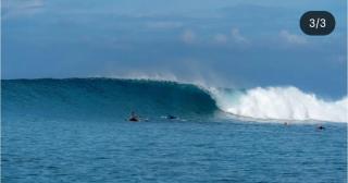 Telosforeshousesurf - 3