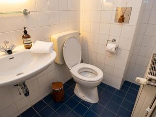 Studio, central, Prater, Schwedenplatz - 7