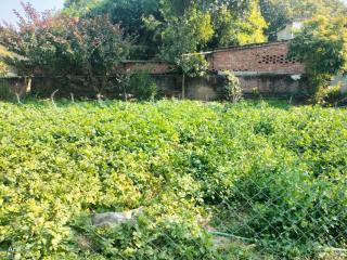 Shiv Kuti Homestay - 4