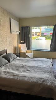 Modern & Cozy Studio with Private Entrance - 8