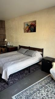 Modern & Cozy Studio with Private Entrance - 9