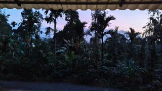 Hut Arabica - 8